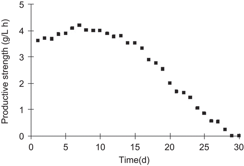 Figure 6.  The continuous monosialotetrahexosylganglioside (GM1) productive strength in packed-bed reactor at the optimized conditions.