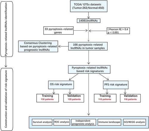 Figure 1 Flow chart of this study.