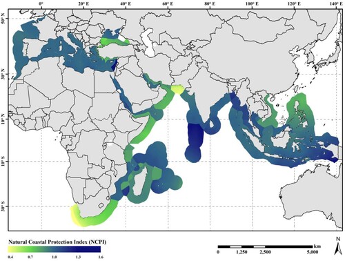 Figure 3. Map of Natural Coastal Protection Index (NCPI) in Exclusive Economic Zones (EEZs) along the MSR. The index value lower than 1 indicates the reduction of protection compared to the reference of 1990. The index value of 1 indicates the no change of the protection. The index value greater than 1 indicates the enhance of protection.