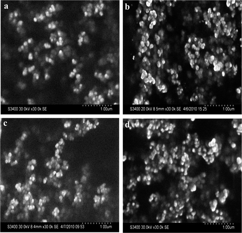 Figure 2. SEM images of GNP synthesised with (a) LE; (b)LWF; (c) SE; and (d) SWFs of S. cumini.