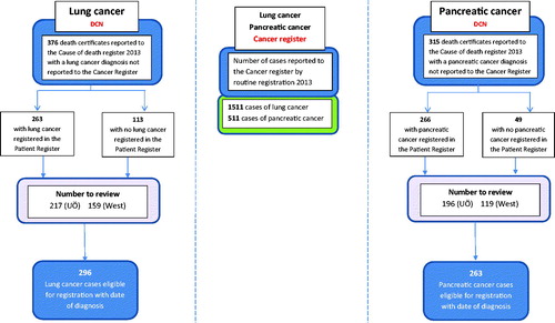 Figure 1. Project overview: lung and pancreatic cancer cases reported to the Swedish Cancer Register (middle column). Flow-chart: identification of Death Certificate Notified cases (DCNs) and assessment of eligibility for registration in the Swedish Cancer Register (left and right columns).