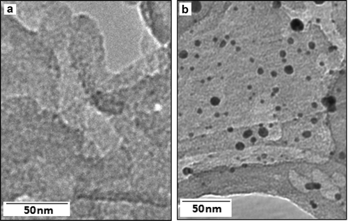 Figure 1. The TEM images of the (a) carbon nitride and (b) Au-CN.