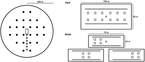 Figure 2. Schematic representation of the landscape plot (left) with a wildflower parcel (rectangle), the distribution of the pan traps (dots) and trap nests (crosses). The sampling methods in the parcels (right) consist of botanical surveys (squares), pollinator transects (solid line) and malaise traps (triangle).