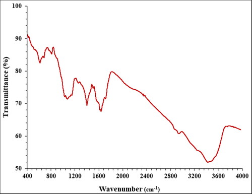 Figure 2. The FT-IR analysis of AgNPs.