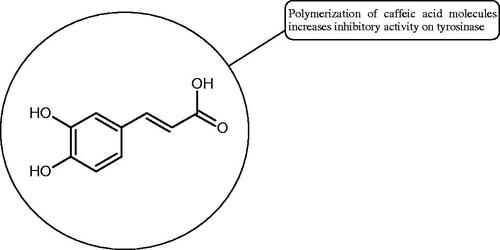 Figure 4. Potential groups engaged in an interaction oligomers phenolic acids-hyaluronidase.