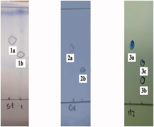 Figure 1. TLC Chromatograms of the starting materials (1a, 2a and 3a) and transformation products (1b, 2b, 3b and 3c) were sprayed with ammonium molybdate reagent and the mobile phase are 96:4, 93:7 and 90:10 v/v of CH2Cl2 and MeOH.