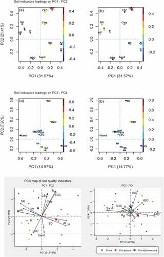 Figure 5. Soil indicators principal component factor load.