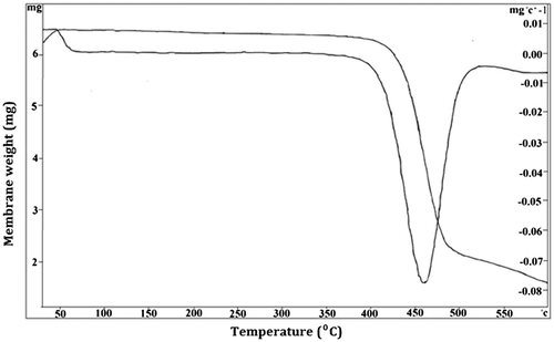 Figure 6. TGA curve of composite NF membrane.