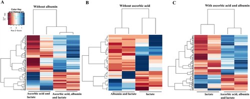 Figure 7. Heat map representing differentially expressed genes in conditions for selection and maturation of hPSC-derived cardiomyocyte. Blue indicates up-regulated expression, and red indicates down-regulated expression.