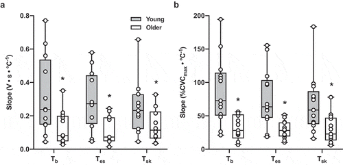Figure 3. The slope of the linear portion of the relation between skin sympathetic nervous system activity (SSNA; Panel A) and cutaneous vascular conductance (CVC; Panel B) and increases in mean body temperature (Tˉb; n = 12 young, n = 11 older), esophageal temperature (Tes; n = 11 young, n = 9 older), and mean skin temperature (Tˉsk; n = 12 young, n = 11 older) during passive heating in young (gray bars) and older adults (white bars). Mean summary data are presented as the median, first and third quartiles, and range (minimum and maximum), and group differences were analyzed by unpaired t-test. In individuals in whom the slope for SSNA could not be determined, data were excluded from analysis. The sensitivity of both SSNA and vasodilatory responsiveness was markedly reduced in older adults. *p < 0.05 vs. young