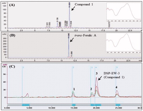 Figure 1. Analytical and preparative HPLC profiles of desalted Salicornia europaea L. powder (DSP). (A) Analytical HPLC profile of DSP-EW; (B) analytical HPLC profile of authentic trans-ferulic acid; (C) Multiple preparative HPLC profile of DSP-EW; (1) caffeic acid; (2) p-coumaric acid; (3) trans-ferulic acid; (4) isorhamnetin-3-β-D-glucoside.