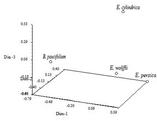 Figure 9. Diagram of species distribution based on qualitative data by UPGM method.