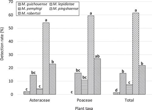 Figure 3. Detection rate of five Metarhizium spp. in rhizosphere soils of wild flowers (n = 151). Bars with the same letters are not significantly different (p > 0.01; multiple comparisons by Fisher’s exact test with Benjamini and Hochberg-adjusted p values).