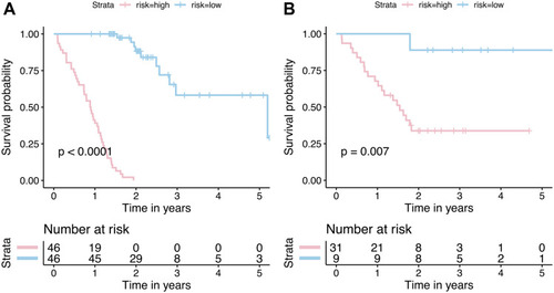 Figure 5 Kaplan–Meier survival analysis of recurrence-free survival according to risk strata defined by the combined model. (A) Training cohort; (B) validation cohort.