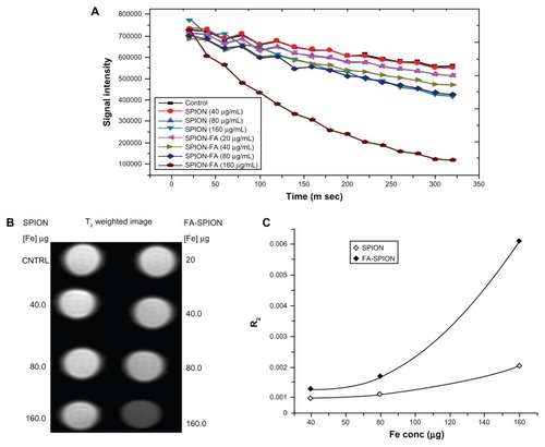 Figure 8 Magnetic resonance imaging properties of MCF-7 cells labeled with SPIONs: (A) signal intensity weighted images (TR 1/4 10,000 ms, TE 1/4 10 ms) of MCF-7 cells labeled FA-SPIONs and SPIONs in DMEM media at various iron concentrations at 25°C, blank phantom agar gel was taken as a control (data as mean intensity within region of interest (ROI)); (B) T2-weighted MR images of MCF-7 cancer cells treated with different concentrations FA-SPION and SPION (C) Graph of R2 of MCF-7 cancer cells treated with different concentrations FA-SPION and SPION.Abbreviations: TR, repetition time; TE, echo time; T2, transverse relaxaxtion time; R2, transverse relaxation rate; ROI, region of interest; MCF-7, hormone-dependent breast carcinoma cells; FA-SPIONs, folic acid conjugated superparmagnetic iron oxide nanoparticles; SPION, superparamagnetic iron oxide nanoparticles.