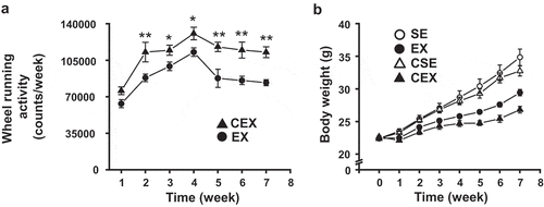 Figure 1. Effects of cellulose nanofiber (CN) intake and exercise on wheel running activity and body weight in high-fat diet-fed mice.(a) Wheel running activity in exercised mice. (b) Body weight change over 7 weeks. SE, CN-untreated sedentary group; EX, CN-untreated exercise group; CSE, CN-treated sedentary group; CEX, CN-treated exercise group. The data are presented as the means ± SEM; *P < 0.05; **P < 0.01.