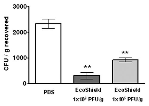 Figure 4. Effect of EcoShield™ concentration on the efficacy of treatment on lettuce. White bars indicate PBS controls, gray bars indicate EcoShield™ treated test groups. Error bars represent the SEM (n = 3). ** indicates statistical significance (p < 0.05).