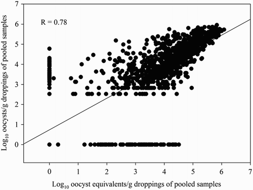 Figure 4. Correlation between the number of oocysts/g dropping of the pooled samples (n = 1180) obtained by the OPG-counting method and the number of oocyst equivalents/g dropping obtained by the multiplex Eimeria spp. qPCRs. Samples were obtained from 19 broiler flocks. One pooled sample = 10 droppings collected at the same time point.