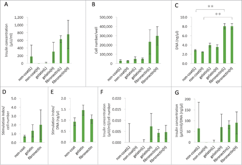 Figure 4. The function of islets for fibronectin. (A) The insulin concentrations contained in low glucose medium and high glucose medium after 2 hours of islet separation using non-coated, gelatin (0.1%)-coated and fibronectin (10.0 mg/ml)-coated 24-well plates (n = 6). The data are presented as the mean ± standard error (SE). (B and C) Measurements of the islet cell number and DNA amount. The cells were seeded onto non-coated, gelatin-coated (0.1%) and fibronectin-coated (10.0 mg/ml) 24-well plates at 500 IEQ. Number of cells: 5.0 × 103/well in low glucose medium and high glucose medium after 2 h of culture. The total number of cells and the amount of DNA were measured (n = 6). The data are presented as the mean ± standard error (SE). *P < 0.05. (D and E) The stimulation index corrected by cell number and DNA quantity of the isolated islets. Using non-coated, gelatin (0.1%)-coated and fibronectin (10.0 mg/ml)-coated 24-well plates (n = 6). The data are presented as the mean ± standard error (SE). (F and G) The insulin concentrations corrected by cell number and DNA quantity of the isolated islets. Using non-coated, gelatin (0.1%)-coated and fibronectin (10.0 mg/ml)-coated 24-well plates (n = 6). The data are presented as the mean ± standard error (SE).