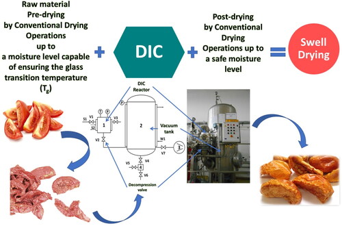 Figure 3. Example of a typical swell-drying operation and schematic diagram of laboratory D.I.C. Equipment (ABCAR-D.I.C. Process, Compiegne, France): (1) D.I.C. reactor; (2) vacuum tank; (3) vacuum pump; (4) Trap, V1-V7-valves, S1, and S2 saturated steam injection, W1- cooling water.