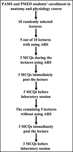Figure 1 Schematic representation of the study design.