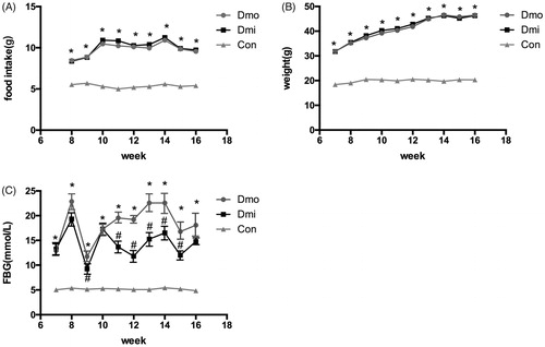 Figure 1. Metabolic features of the mice. (A) Food intake. (B) Body mass. (C) Fasting glucose levels (FBG). Dmo, vehicle-treated db/db mice; Dmi, SB203580-treated db/db mice; Con, C57 mice (*p < 0.05, Dmo or Dmi vs. Con; #p < 0.05, Dmi vs. Dmo).