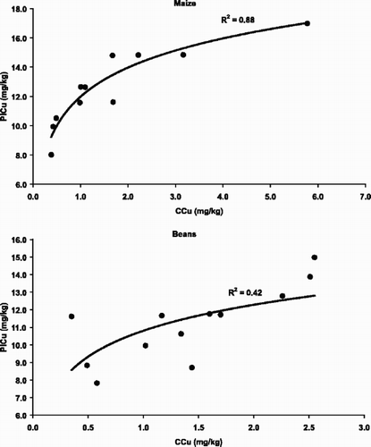 Fig. 5. Relationship between CaCl2-extractable Cu (CCu) and Cu concentration in bean and maize plants (PlCu).