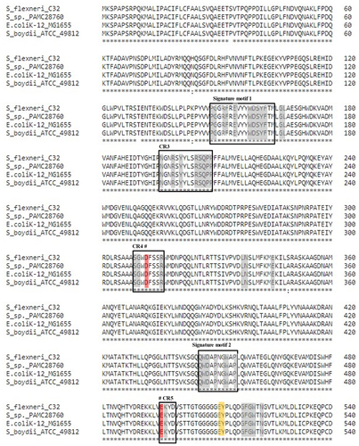Figure 3. Cytoplasmic trehalase (TreF) amino acid sequence alignment with a characterized trehalase (TreF). TreF (GH37) from E. coli K-12 substr. MG1655, trehalase from S. flexneri C32, trehalase from Shigella sp. PAMC28760, and trehalase from S. boydii ATCC49812. The signature motif 1 and signature motif 2 represent two highly conserved sequence segments that belong to the GH37 family. The “#” symbol denotes the catalytic sites of Asp312 and Glu496. the three black boxes represent conserved regions (CR3–CR5).