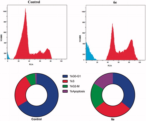 Figure 3. DNA-flow cytometry analysis for MDA-MB-231 cells treated with compound 6e for 24 h at their IC50 concentrations. The experiments were done in triplicates.