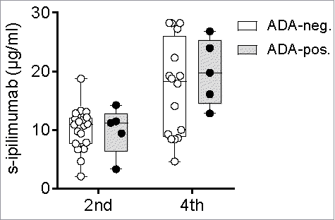 Figure 5. Serum levels of ipilimumab by ADA status. Serum levels of ipilimumab (s-ipilimumab) were measured before the 2nd and 4th infusion of ipilimumab in 24 and 20 patients with metastatic melanoma. The s-ipilimumab values of ADA-positive and ADA-negative patients were compared using the Mann-Whitney U test.