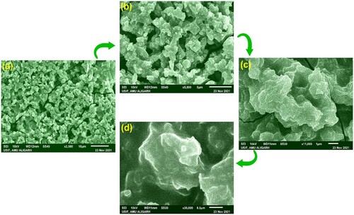 Figure 6. SEM images of green synthesized CuONPs using J. curcas leaves. Images displayed at different magnifications level (a) 10 µm, (b) 5 µm, (c) 1 µm and (d) 0.5 µm.