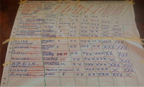 Figure 2. Results of listing and ranking exercise (Step 2) for one village, presenting women's, men's, and mixed groups by different variables, including levels of connectivity and influence.