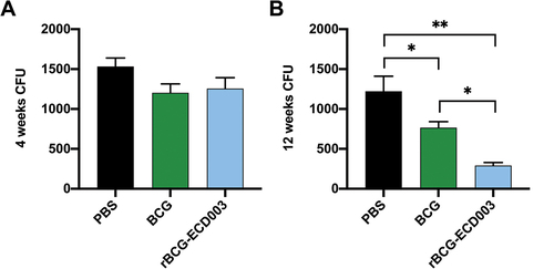 Figure 6. The protective efficacy of rBCG-ECD003 in vitro. The BALB/c mice (n = 6) were s.C. immunized with PBS, BCG, and rBCG-ECD003 respectively. The spleen lymphocytes were isolated 4th and 12th week post-immunization and co-cultured with ~ 500 CFU of mtb H37Rv. The bacterial load results of the 4th week (a) and 12th week (b) were presented as mean ± SEM. Statistical significance was determined by ANOVA with Tukey’s multiple comparisons tests (*p < .05, **p < .01).