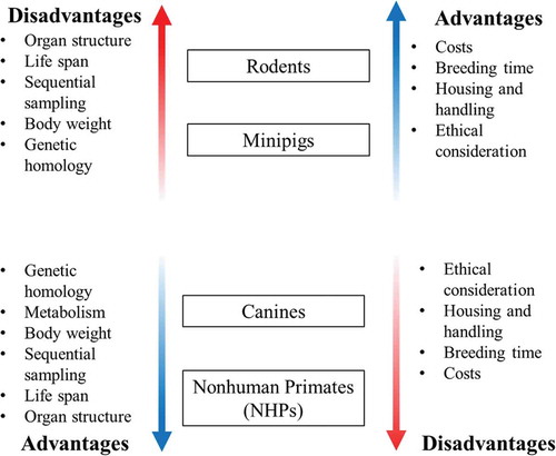 Figure 1. Advantages and disadvantages of various animal models in biomedical research. Metabolism has not been mentioned in the upper panel since swine metabolism is very similar to humans and it is a distinct advantage over rodents.