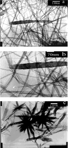 Figure 14. TEM images of CuO obtained from the dehydration of Cu(OH)2 at the different concentrations of NaOH (a) and (b) Cu(DEHP)2 = 0.05 M and NaOH = 0.1 M at different magnifications. (c) Cu(DEHP)2 = 0.05 M and NaOH = 0.2 M Citation37.