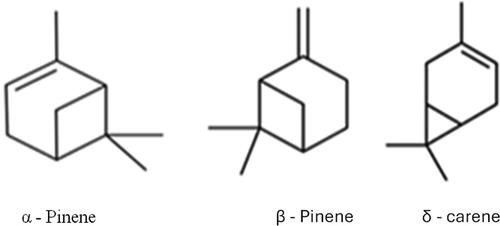 Figure 1. Chemical structure of turpentine oil (Kadarohman et al., Citation2021).