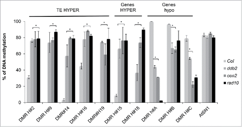 Figure 1. DNA methylation in GGR-deficient plants. DNA methylation levels of WT (Col), cen2 and rad10 plants determined by McrBC-qPCR at several representative ddb2-induced Differentially Methylated Regions (DMRs). Data are presented as percentage of methylation (±SD ) and are representative of 3 biological replicates. The methylated transposable retro-element, SINE like element 1 (AtSN1), was used as control. t-test * p < 0.01 compared to WT (Col).