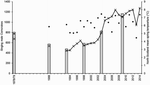 Figure 1. The number of singing male Corncrakes in Great Britain between 1978/79 and 2014. The bars show the number of Corncrakes recorded in the full survey years, while the crosses show the numbers recorded in the core range. Filled circles show the annual spring mean temperature (March–May) in North Scotland (Meteorological Office 2015). Counts in 1978/79 on Barra and Lewis were incomplete, so estimates for those islands were imputed by multiplying the count in 1988 by the ratio of the 1978/79 to the 1988 counts for the other islands of the Outer Hebrides, excluding Barra and Lewis (O'Brien et al. Citation2006). Where upper and lower limits were given for a count (see Table 1), their average was used.