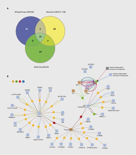 Figure 1. (Opposite) (A) Variations in pathway annotation. Numbers indicate proteins annotated with apoptosis signaling in three different databases (Wikipathways, WP254; Reactome, REACT_578; KEGG, hsa:04210). In total, 200 different proteins are annotated for apoptosis signaling, 84 in Wikipathways, 108 in Reactome, and 86 in KEGG. Of these proteins, 48 are common to all or at least two databases (24%), while the vast majority (152; 76%) is specific for only one database. (B) Integrated view of fluoxetine with the ConsensusPathDB. Colored circles represent interactions (orange, protein-protein interactions; green, metabolic reactions; red, drug-target interactions), squares correspond to physical entities (blue, proteins; brown, compounds). Edges connect physical entities with interactions. Edge styles correspond to the different roles of the particular physical entity in the interaction (eg, enzyme, substrate/product, physical interactor). The view shows the drug-target interactions (red circles) of fluoxetine (brown square) with the serotonin (5-hydroxytryptamine/5-HT) receptor 5-HT2AR (blue square) and the 5-HT transporter (sodium-dependent serotonin transporter) protein (blue square) and their downstream molecular interactions (orange circles) with other proteins.