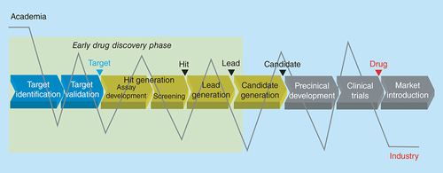 Figure 1.  Potential contributions of particular strengths of academia as well as industry to the drug discovery and development process.