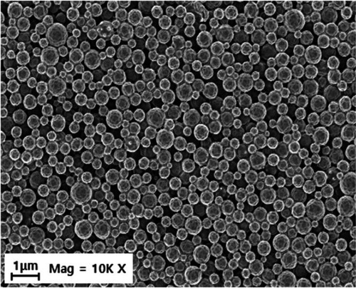 Figure S1 Scanning electron microscopy showing the surface morphology of NP[OVA+Dex] with a mean size of 865 nm. The morphology of the NP[OVA+Dex] was visualized by scanning electron microscopy (LEO-1530, Carl Zeiss, Germany)