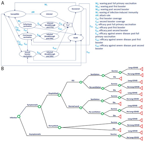 Figure 1. Economic model structure combining (A) Markov cohort model and (B) decision tree component used in both the cost-effectiveness and the budget impact analyses. In the Markov model component, individuals transition weekly through health states related to COVID-19 protection and infection. If individuals transition into any infection state, they immediately enter (B) the decision tree component for sorting. Green circles indicate decision points, with probabilities informed by the level of protection against COVID-19 in the particular infected state from which an individual arrives. Red triangles indicate decision tree end points, from which participants re-enter the Markov model component. Abbreviations. ICU, intensive care unit; SBV, second booster vaccination.