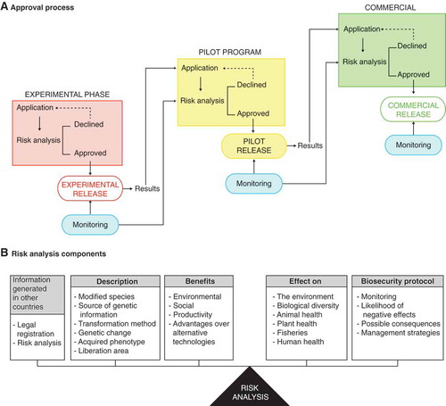 FIGURE 2. Schematic representation of the regulatory process and risk analysis for the release of genetically modified organisms based on the Mexico biosafety law. A) The approval process consists of three sequential phases: experimental purposes, pilot programs and commercial production. On a case-by-case basis, each phase requires a permit application, risk analysis, and is subjected to compliance monitoring. B) Core information for risk analysis based on scientific information generated by the applicant and may include information generated in the country of origin.