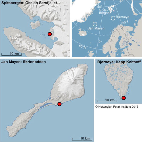Fig. 1  Localities (red dots) where the samples were collected at Skrinnodden (Jan Mayen, 70.99°N, −8.24°E), Kapp Kolthoff (Bjørnøya, 74.35°N, 19.13°E) and Ossian Sarsfellet (Spitsbergen, 78.93°N, 12.5°E).
