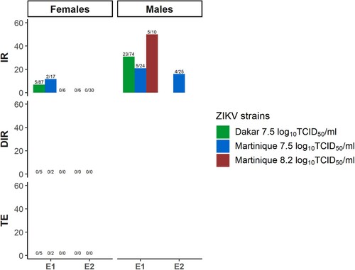 Figure 3. Infection and dissemination rates and transmission efficiency of the progeny of infected females from of one field-collected Ae. albopictus population (Rubí) for Dakar and Martinique ZIKV strains. IR: infection rate; DIR: dissemination rate; TE: transmission efficiency.
