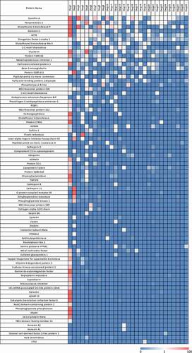 Figure 2. Heatmap of HCP abundance in approved therapeutic proteins. Columns represent a therapeutic protein ordered by decreasing number of HCP identified. Each row is an individual HCP identified in the current analysis. Colors signify HCP abundances ranging from >100 ppm (red) to 0 ppm (not detected, blue)