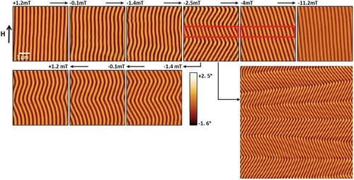 Figure 2. MFM images of the weakstripes in 180 nm thick CoFeB. Top: Evolution of the weakstripe configuration under applied field from positive saturation to the negative saturation. Bottom left: Evolution of the weakstripe configuration under applied field from −2.5mT to +1.2mT after positive saturation. Bottom right: zoom out at −2.2mT (size 15µm × 15µm).