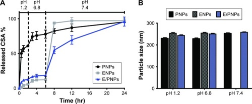 Figure 2 pH-dependent in vitro drug-release profiles and size analysis of CSA-loaded PNPs, ENPs, and E/PNPs: (A) in vitro drug release; (B) size analysis at different pH values.Abbreviations: CSA, cyclosporine A; PNPs, poly(lactic-co-glycolic acid) (PLGA) nanoparticles; ENPs, Eudragit FS30D nanoparticles; E/PNPs, Eudragit FS30D/PLGA nanoparticles.