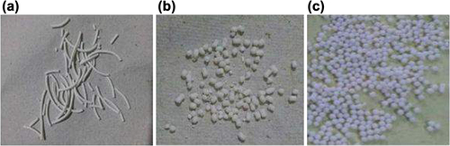 Figure 4. Photographic images of stages of spheroid formation during spheronization at (a) 0 s, (b) 15 s, and (c) 30 s.