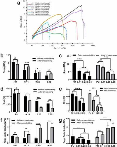 Figure 6. Axial mechanical test results of four groups of blood vessels before and after crosslinking. (a)Axial stress-strain curve of four groups of blood vessels before and after crosslinking. Intra-group comparison (b) and inter-group comparison (c) of maximum vascular stress in the four groups before and after cross-linking. Intra-group comparison (d) and inter-group comparison (e) of the maximum strain of vessels in the four groups before and after cross-linking. Intra-group comparison (f) and inter-group comparison (g) of vascular elastic modulus of the four groups before and after cross-linking